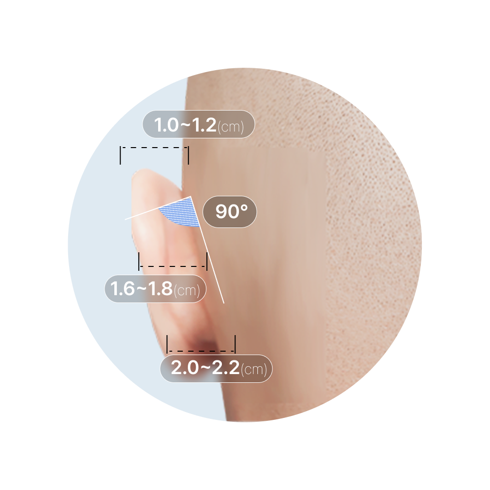 이상적인 귀 균형